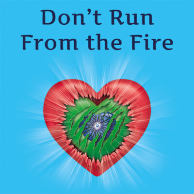 Don't Run From The Fire